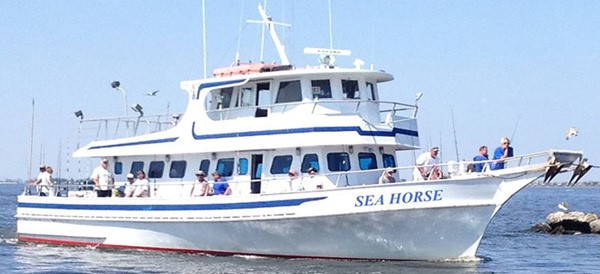 Photo of Sea Horse Party Fishing Boat in Atlantic Highlands City, New Jersey, United States - 1 Picture of Point of interest, Establishment