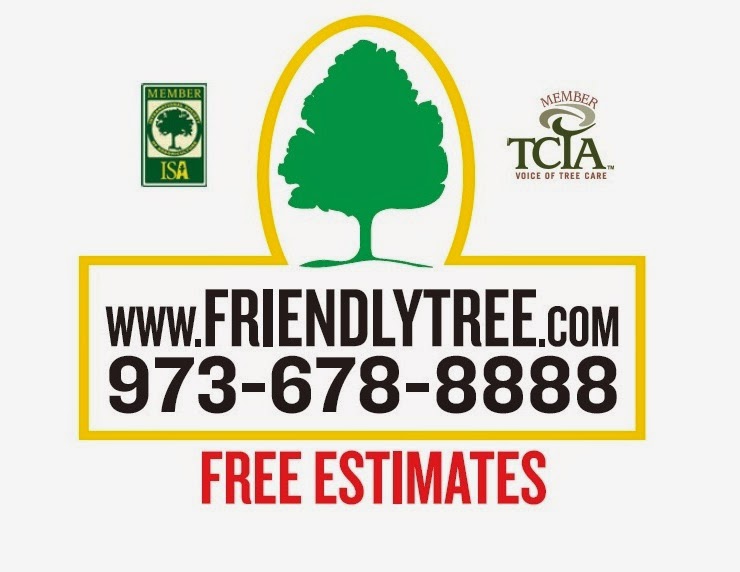 Photo of Friendly Tree Service- Fine Pruning of Trees and Shrubs in City of Orange, New Jersey, United States - 3 Picture of Point of interest, Establishment
