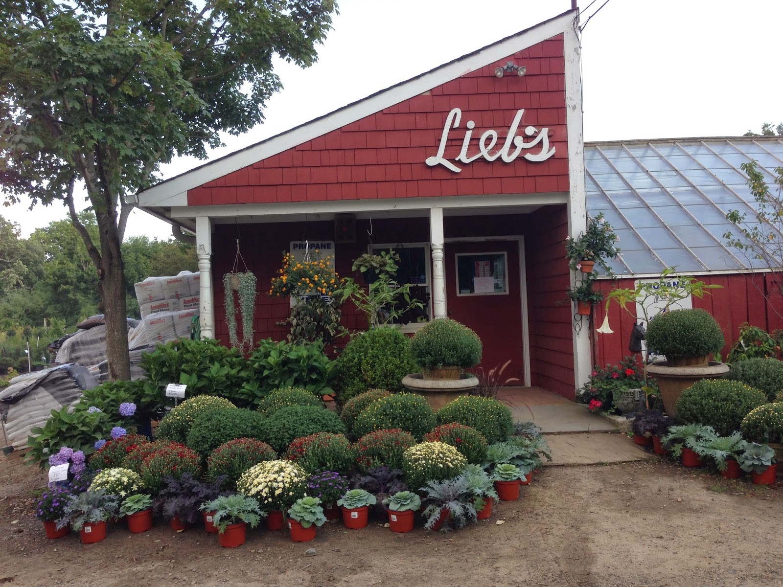 Photo of Lieb's Nursery/Lucente Landscaping in New Rochelle City, New York, United States - 2 Picture of Food, Point of interest, Establishment, Store