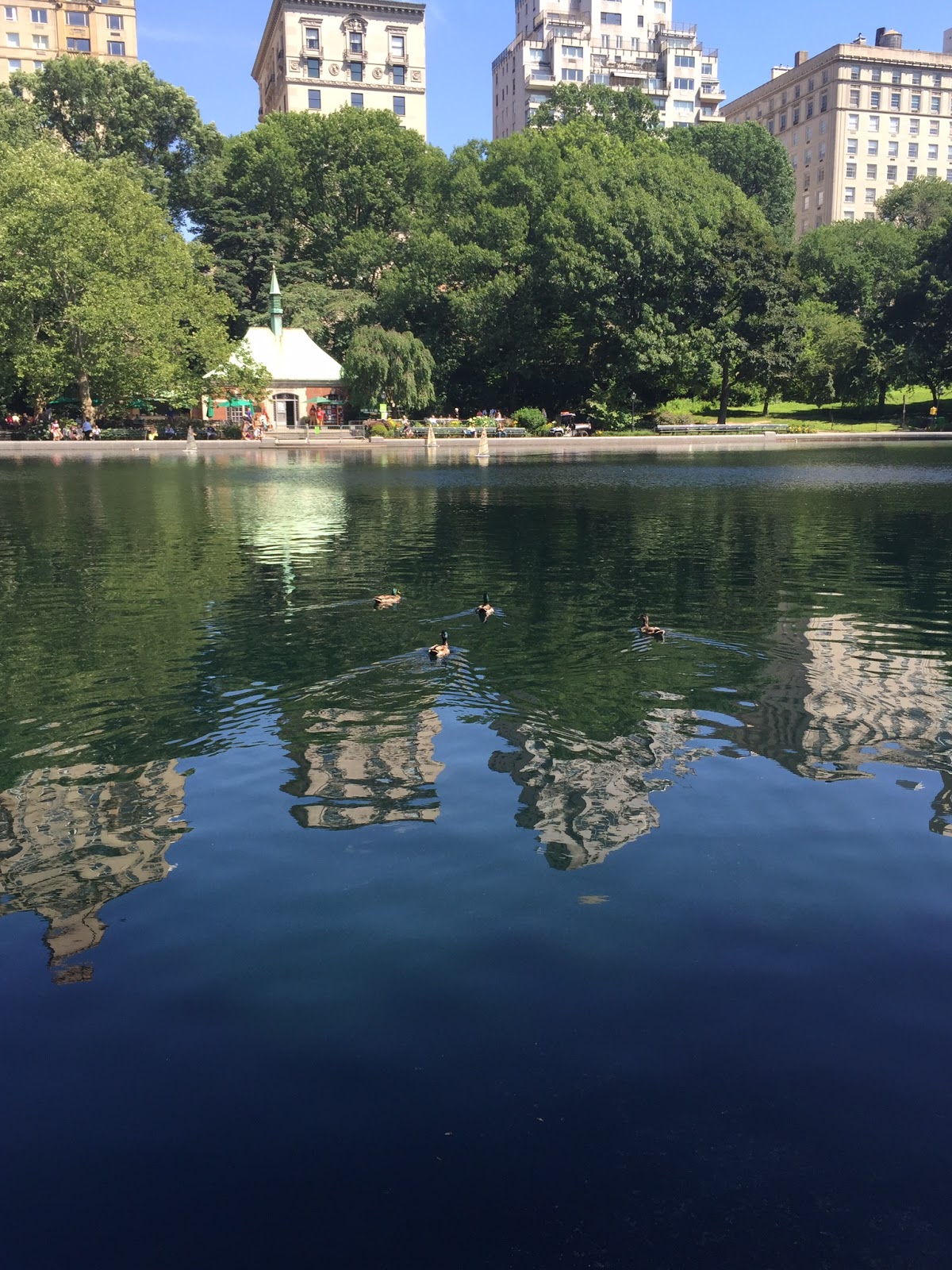 Photo of Conservatory Water in New York City, New York, United States - 9 Picture of Point of interest, Establishment