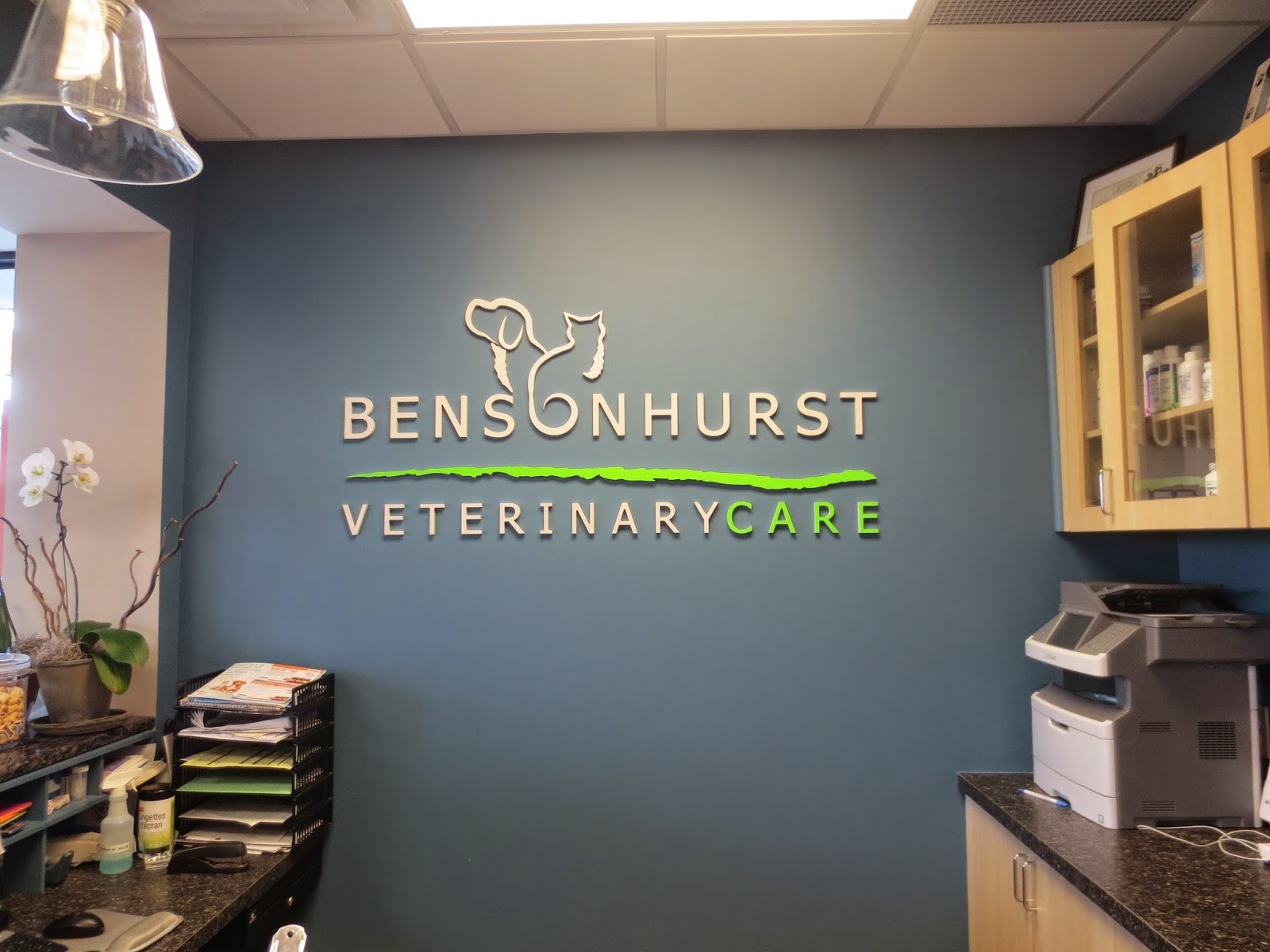 Photo of Bensonhurst Veterinary Care in Brooklyn City, New York, United States - 7 Picture of Point of interest, Establishment, Veterinary care