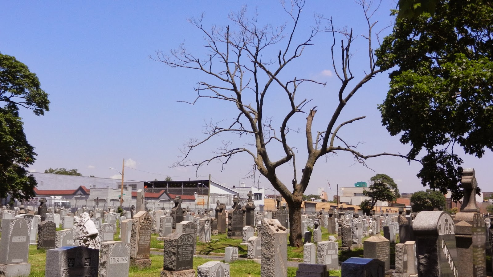 Photo of New Calvary Cemetery in Woodside City, New York, United States - 10 Picture of Point of interest, Establishment, Cemetery