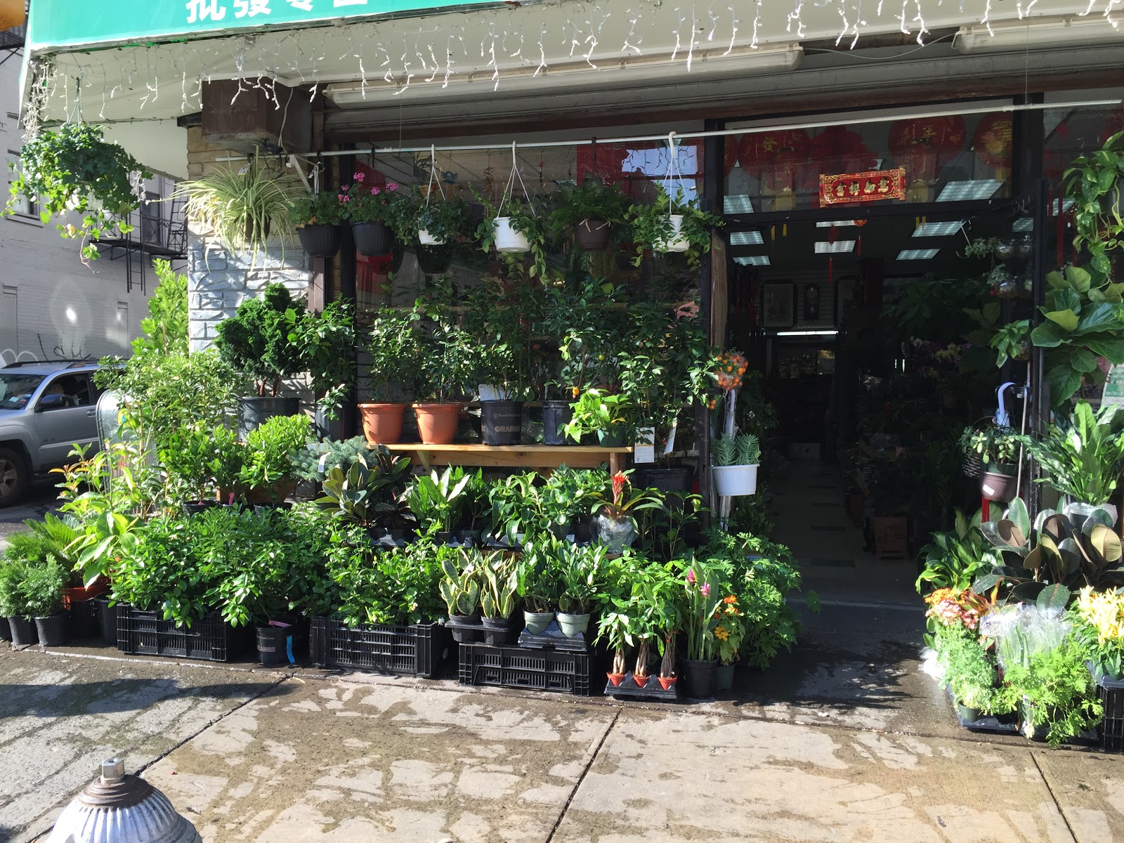 Photo of Dahing flower/gift shop in New York City, New York, United States - 2 Picture of Point of interest, Establishment, Store, Florist