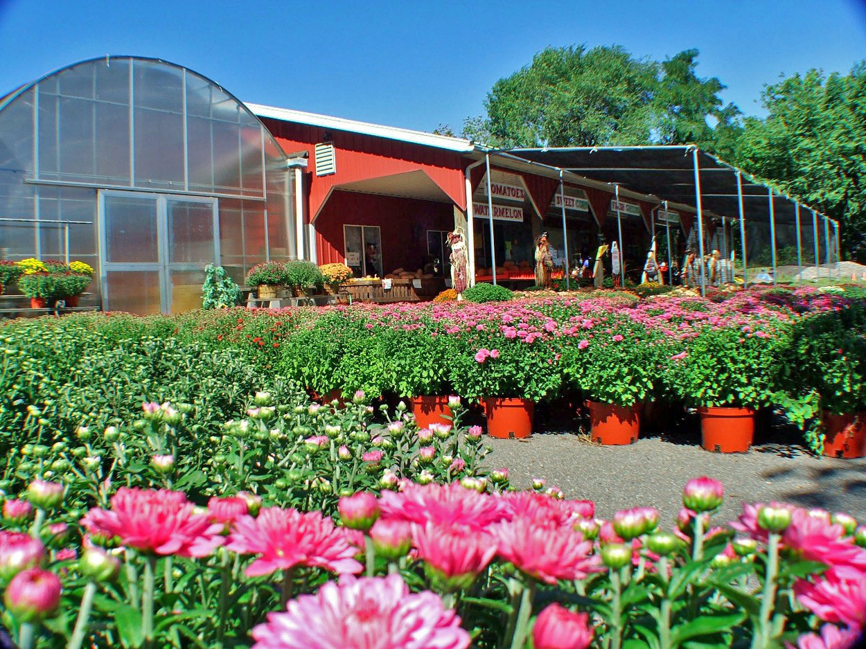 Photo of Ploch's Farm in Clifton City, New Jersey, United States - 9 Picture of Food, Point of interest, Establishment