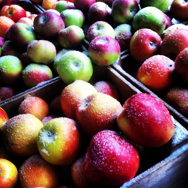 Photo of Fort Greene Park GrowNYC Greenmarket in Brooklyn City, New York, United States - 9 Picture of Food, Point of interest, Establishment, Store, Grocery or supermarket