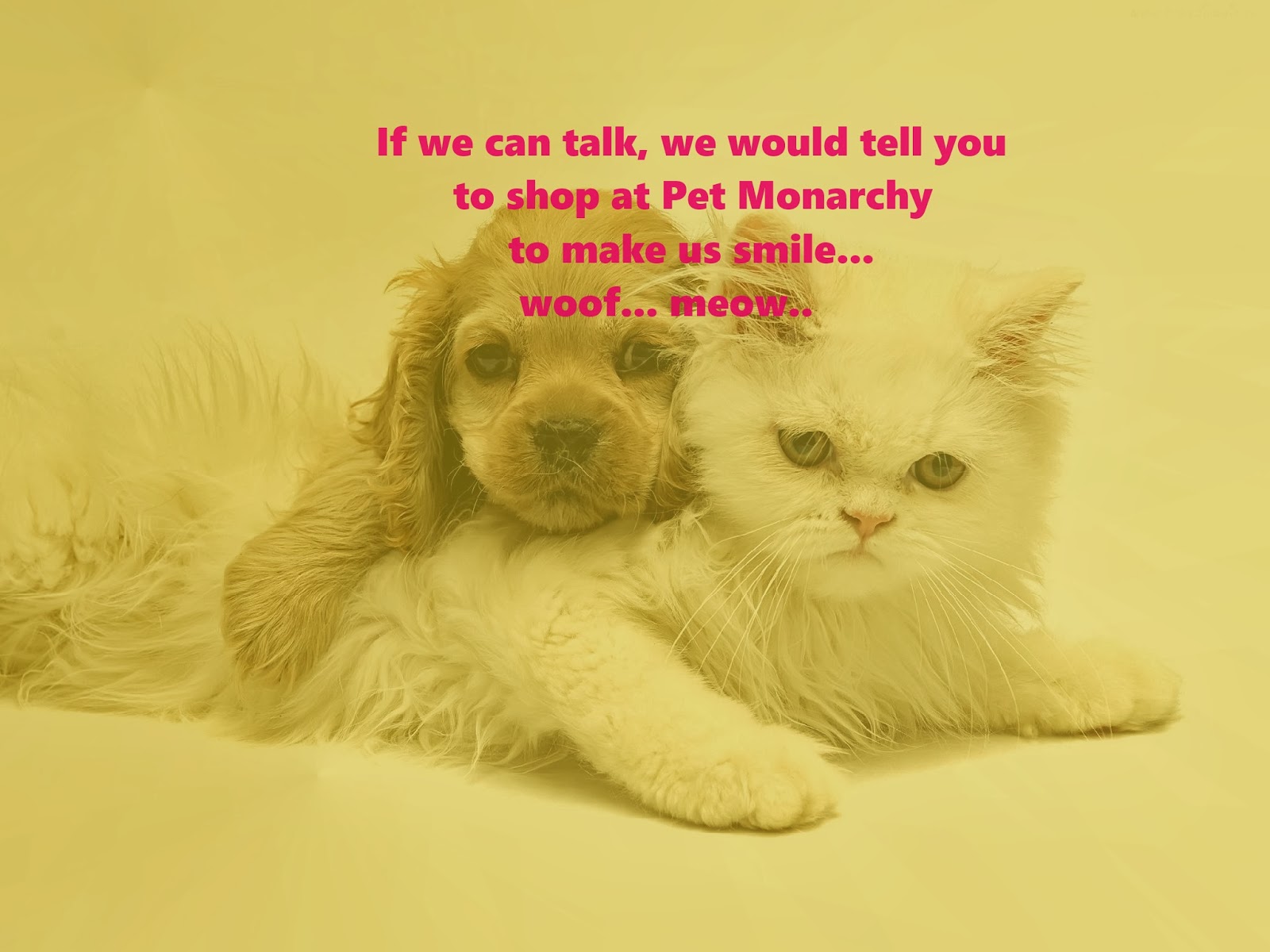 Photo of Pet Monarchy Ltd in New York City, New York, United States - 8 Picture of Point of interest, Establishment, Store, Pet store