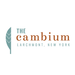 Photo of The Cambium in Larchmont City, New York, United States - 2 Picture of Point of interest, Establishment