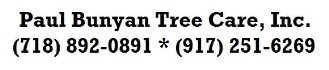 Photo of Paul Bunyan Tree Care, Inc in Ozone Park City, New York, United States - 1 Picture of Point of interest, Establishment, General contractor