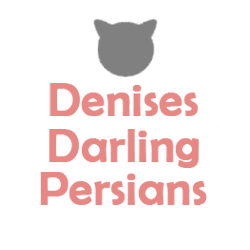 Photo of Denises Darling Persians in Franklin Lakes City, New Jersey, United States - 2 Picture of Point of interest, Establishment, Store, Pet store