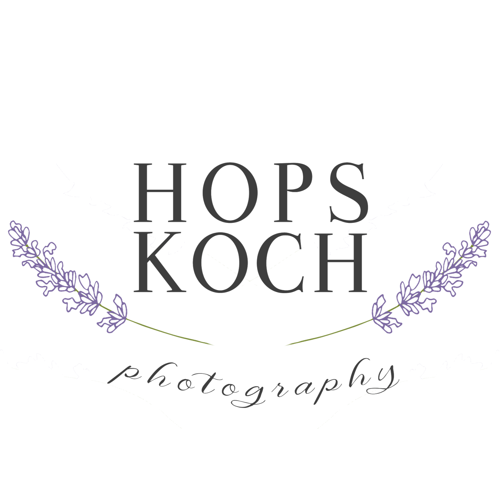 Photo of Hopskoch Photography in Kings County City, New York, United States - 1 Picture of Point of interest, Establishment