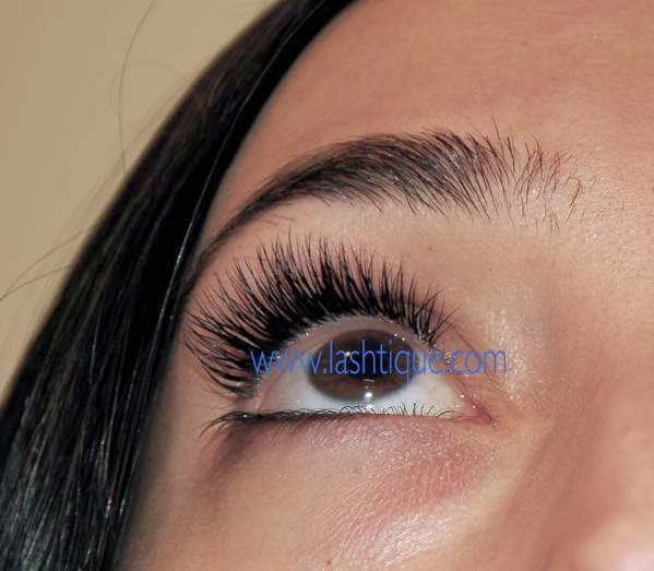 Photo of Lashtique in Glen Head City, New York, United States - 7 Picture of Point of interest, Establishment, Beauty salon