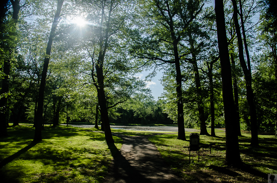 Photo of Meisel Avenue Park in Springfield Township City, New Jersey, United States - 1 Picture of Point of interest, Establishment, Park