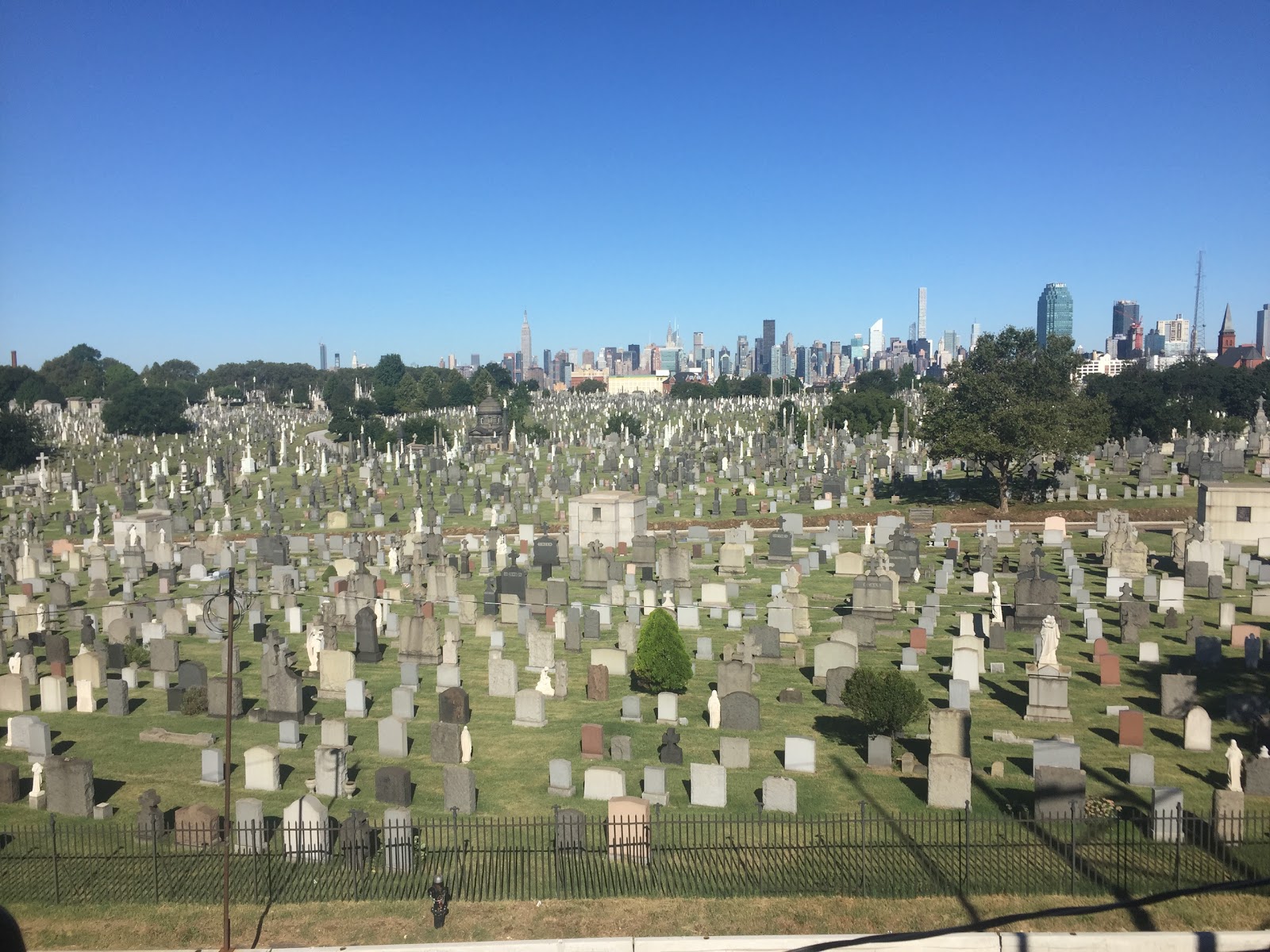 Photo of First Calvary Cemetery in New York City, New York, United States - 2 Picture of Point of interest, Establishment, Cemetery