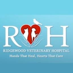 Photo of Ridgewood Veterinary Hospital in Ridgewood City, New Jersey, United States - 7 Picture of Point of interest, Establishment, Health, Veterinary care