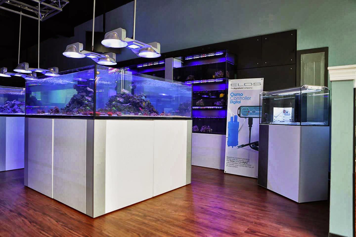 Photo of AquaStudio Reef Exotics New York/New Jersey Metro in Short Hills City, New Jersey, United States - 1 Picture of Point of interest, Establishment, Store, Pet store