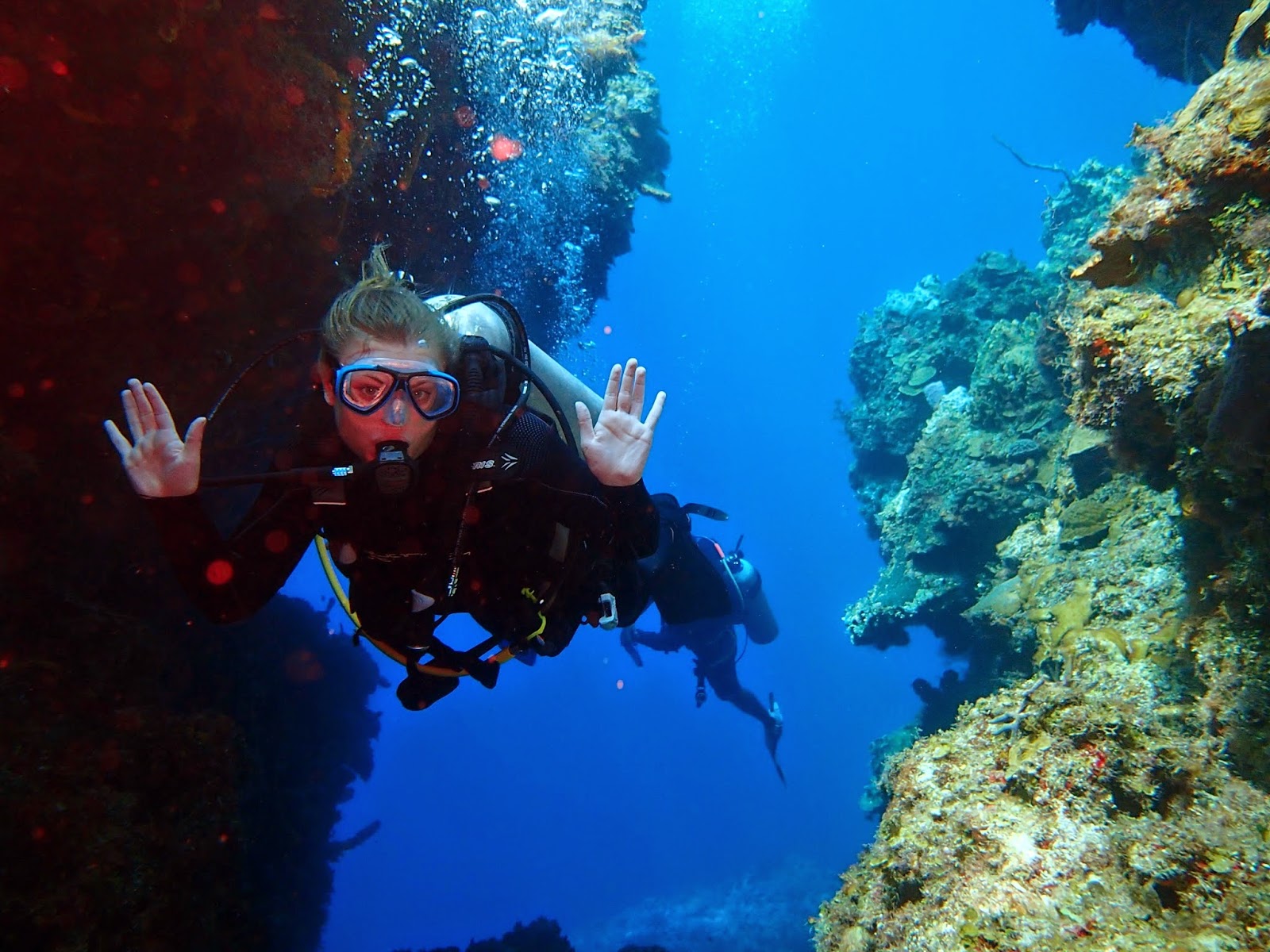 Photo of Ocean Horizons Scuba Inc in Brooklyn City, New York, United States - 4 Picture of Point of interest, Establishment, Travel agency