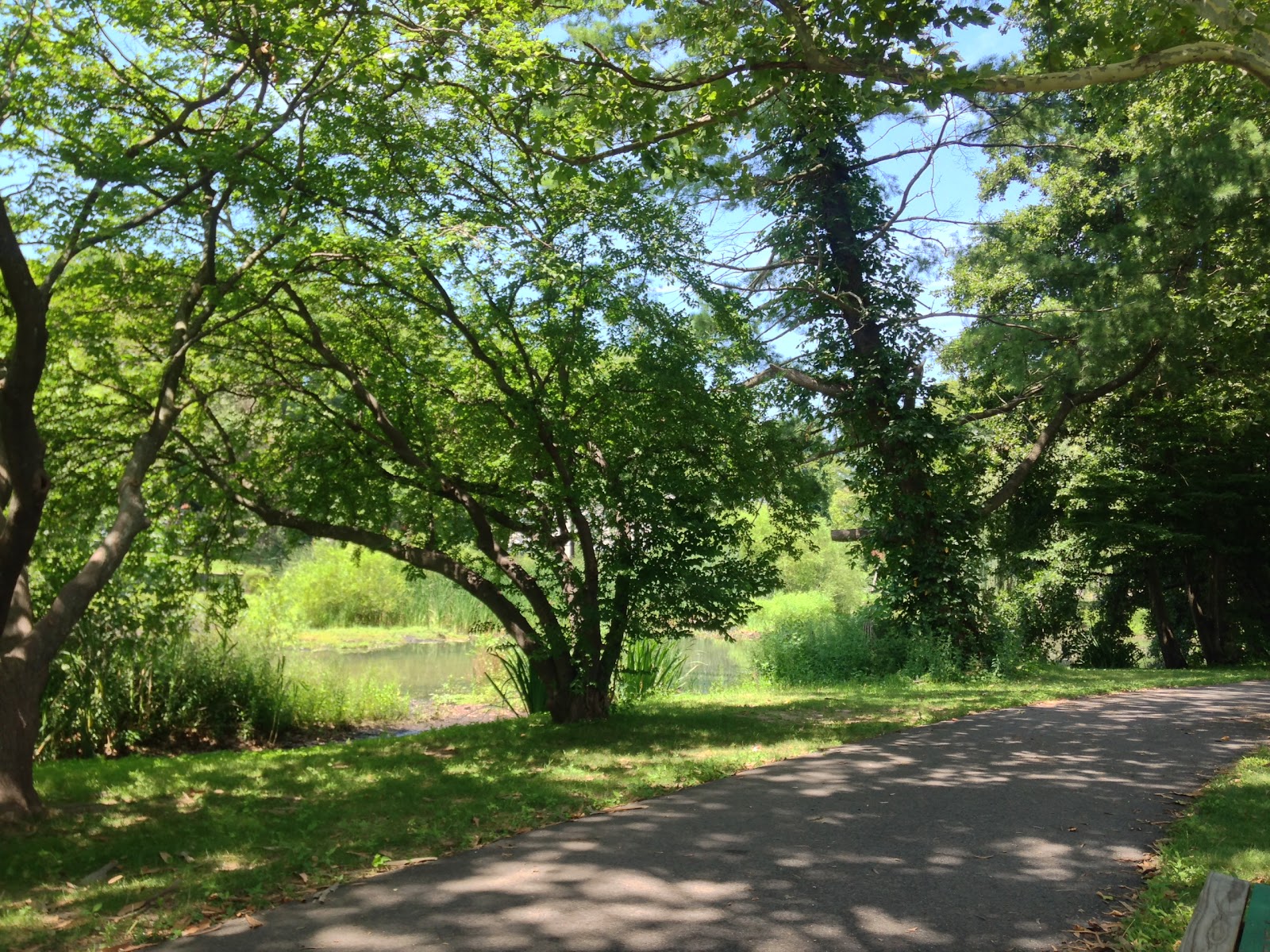 Photo of Manhasset Valley County Park in Manhasset City, New York, United States - 5 Picture of Point of interest, Establishment, Park