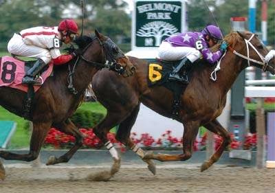 Photo of Gary P Gullo Racing Stable in Elmont City, New York, United States - 1 Picture of Food, Point of interest, Establishment