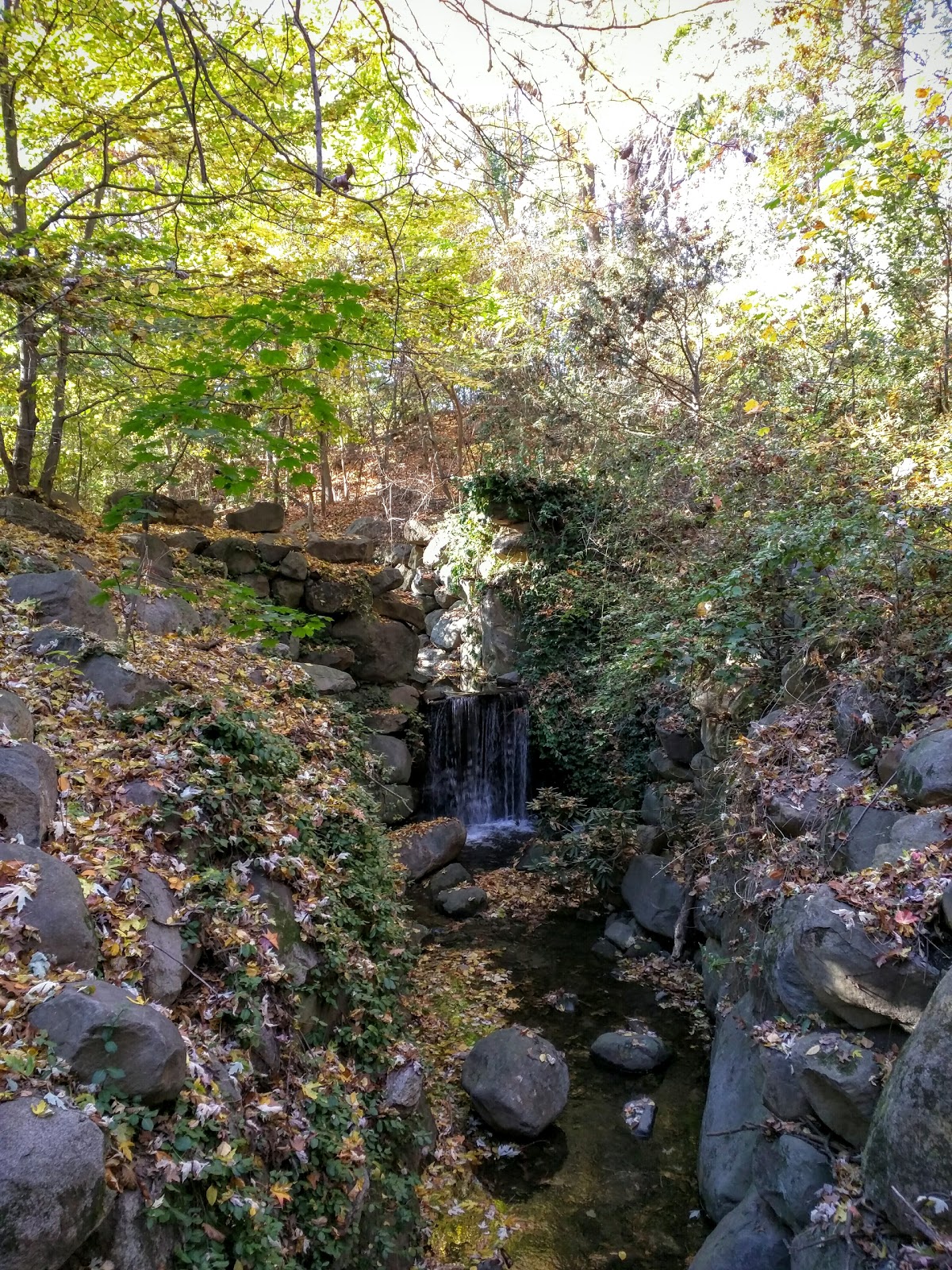 Photo of Prospect Park - Ravine in Kings County City, New York, United States - 3 Picture of Point of interest, Establishment, Park, Natural feature