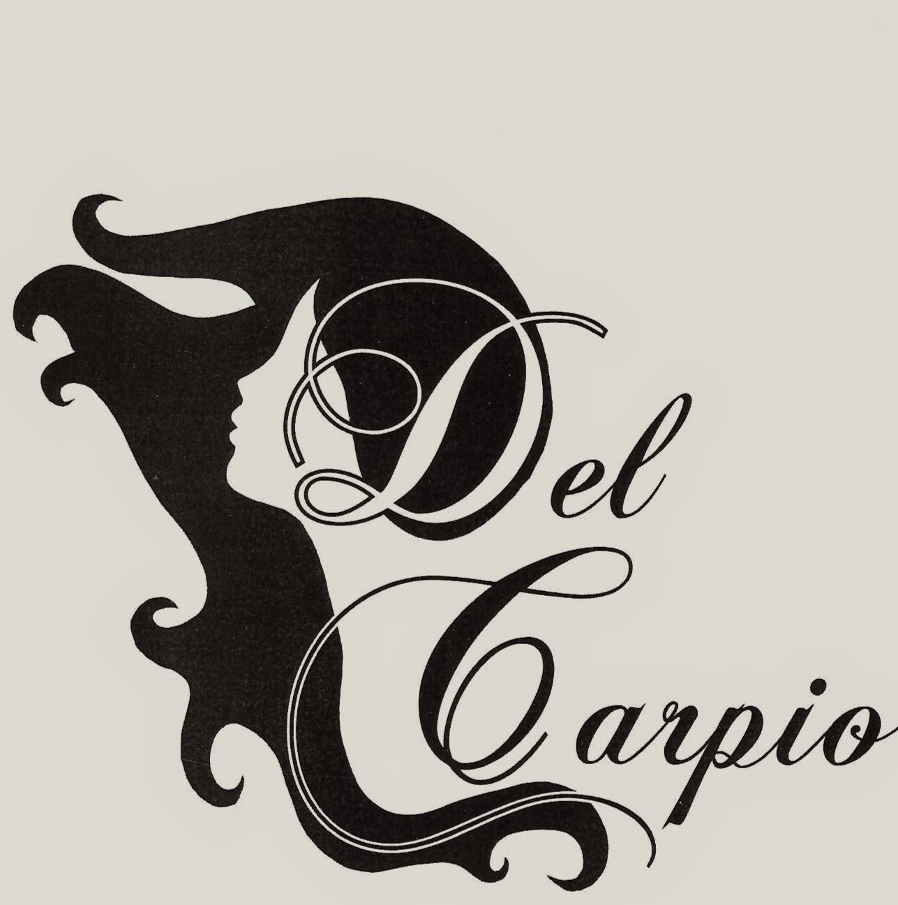 Photo of Del Carpio Hair Salon in Lynbrook City, New York, United States - 6 Picture of Point of interest, Establishment, Beauty salon, Hair care