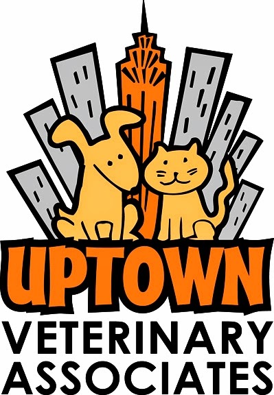 Photo of Uptown Veterinary Associates in New York City, New York, United States - 10 Picture of Point of interest, Establishment, Veterinary care