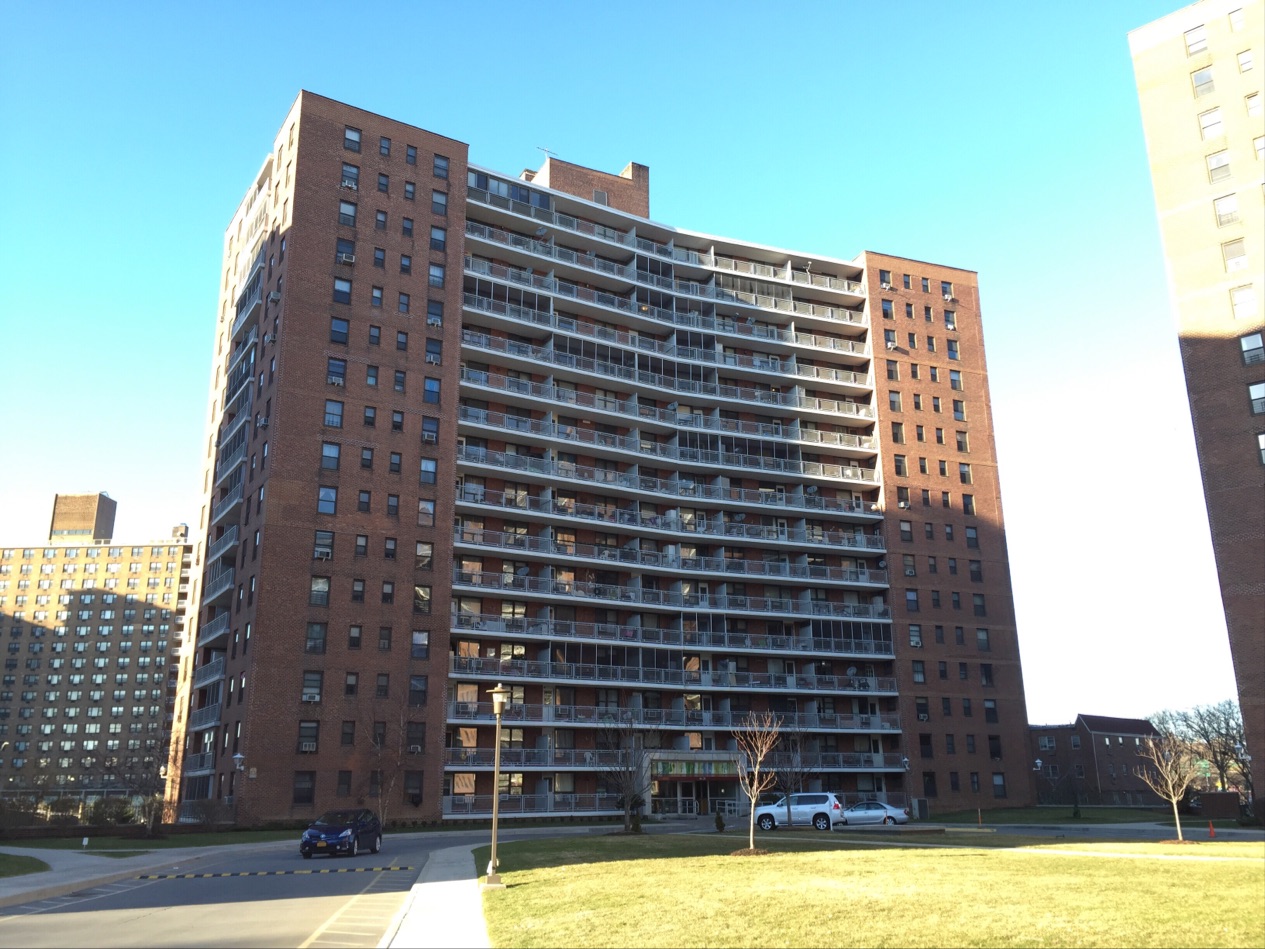 Photo of Park City Estates in Queens City, New York, United States - 4 Picture of Point of interest, Establishment