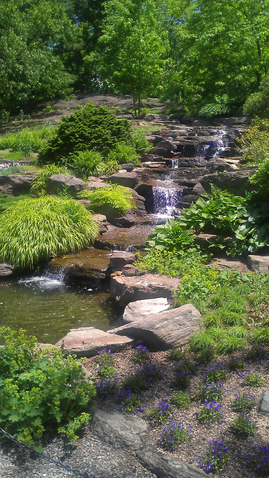 Photo of Rock Garden in Bronx City, New York, United States - 1 Picture of Point of interest, Establishment, Park