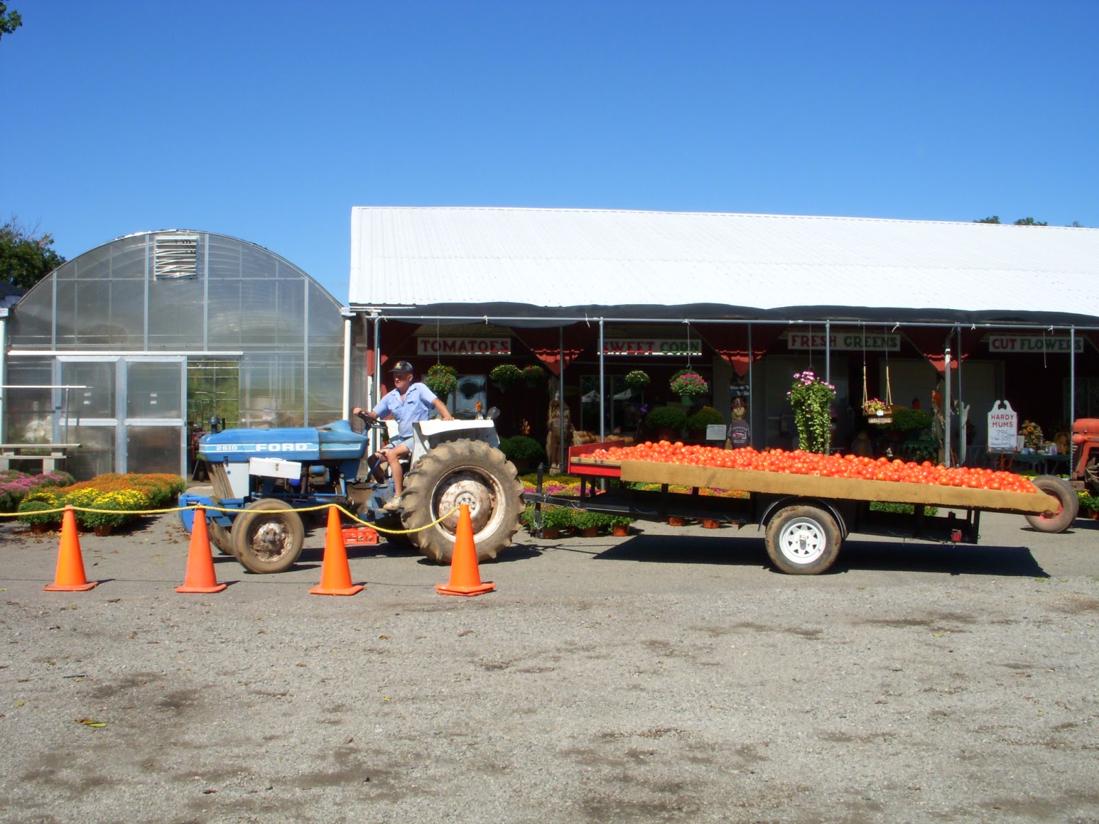 Photo of Ploch's Farm in Clifton City, New Jersey, United States - 8 Picture of Food, Point of interest, Establishment