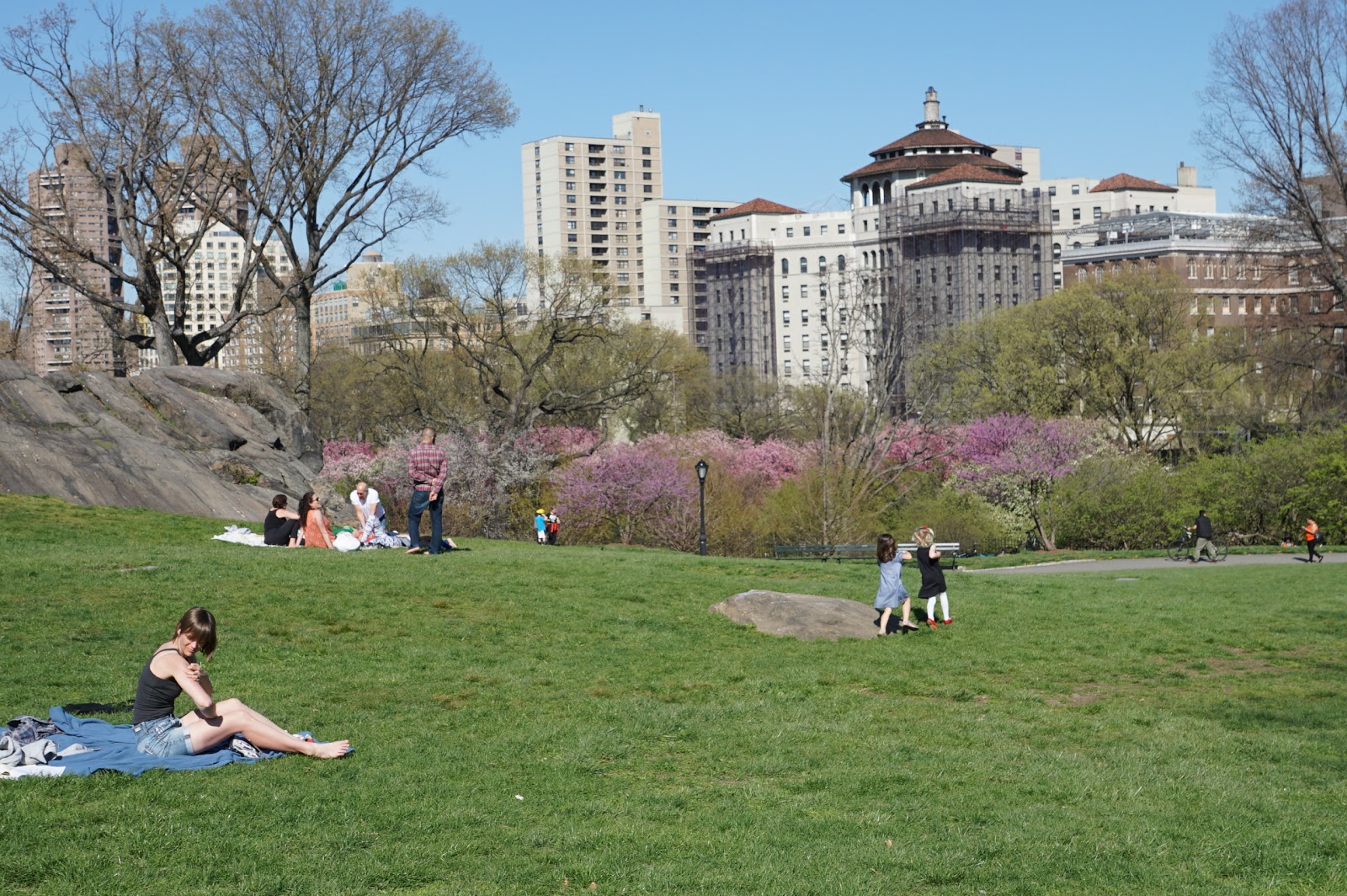 Photo of Rob Central Park v2 Traverse in New York City, New York, United States - 1 Picture of Point of interest, Establishment, Park