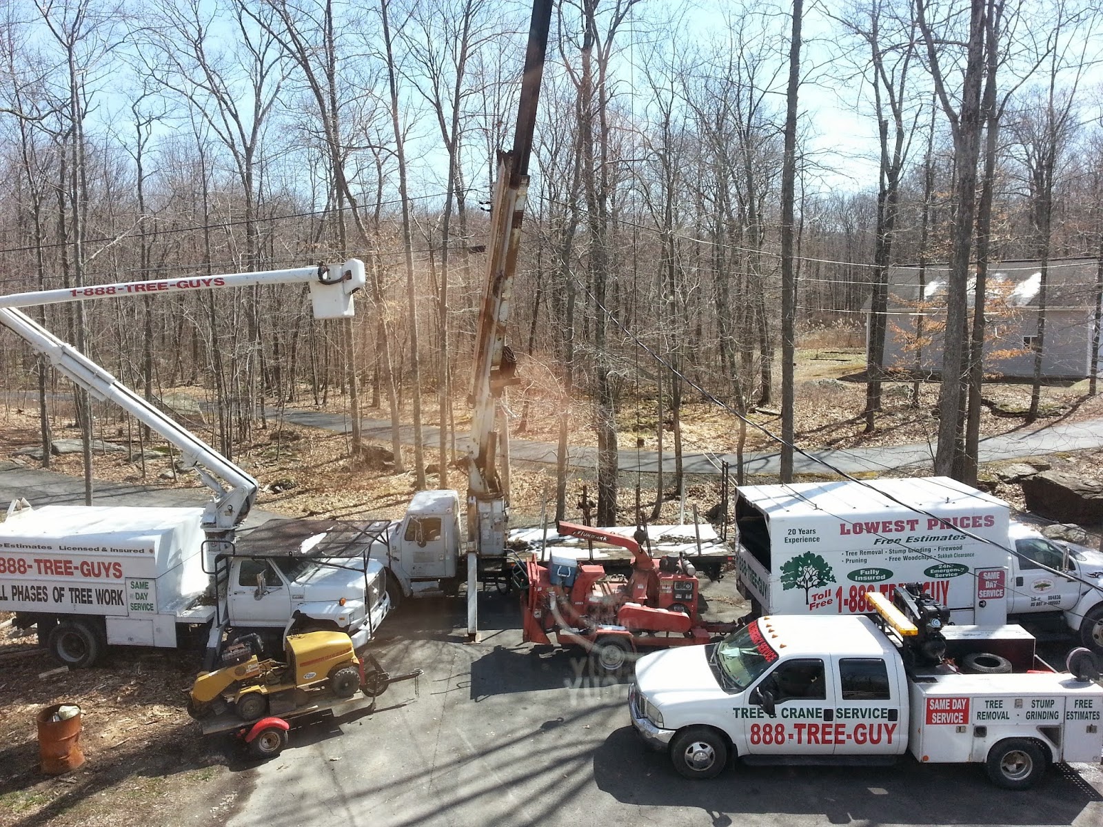 Photo of GoodFellers Tree Service in Kings County City, New York, United States - 2 Picture of Point of interest, Establishment