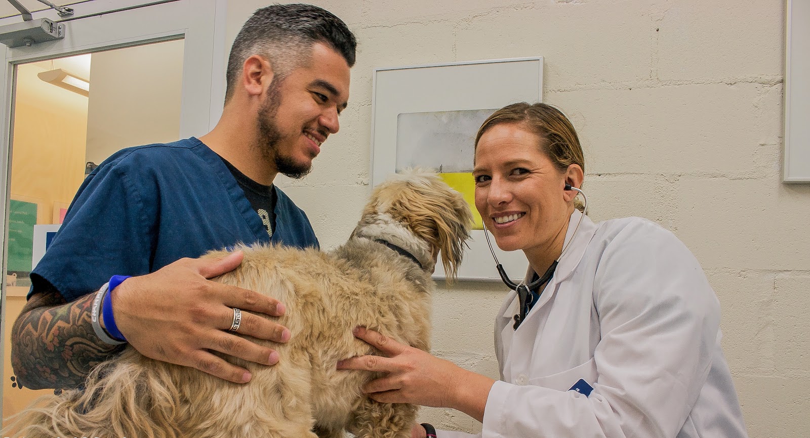 Photo of Biscuits & Bath in New York City, New York, United States - 10 Picture of Point of interest, Establishment, Veterinary care