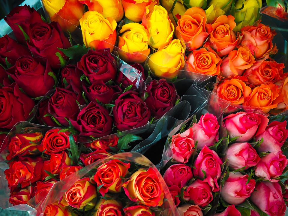 Photo of New York Barclays Flowers & Fruit Baskets in New York City, New York, United States - 4 Picture of Food, Point of interest, Establishment, Store, Florist