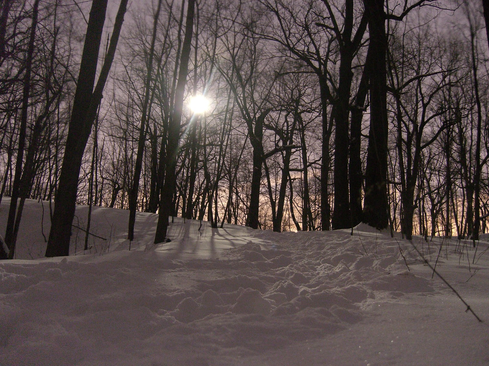 Photo of Rifle Camp Park in Woodland Park City, New Jersey, United States - 2 Picture of Point of interest, Establishment, Park