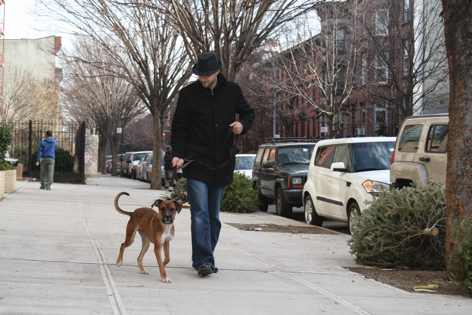 Photo of Brooklyn Bark - Dog Walking and Pet Care in Kings County City, New York, United States - 3 Picture of Point of interest, Establishment