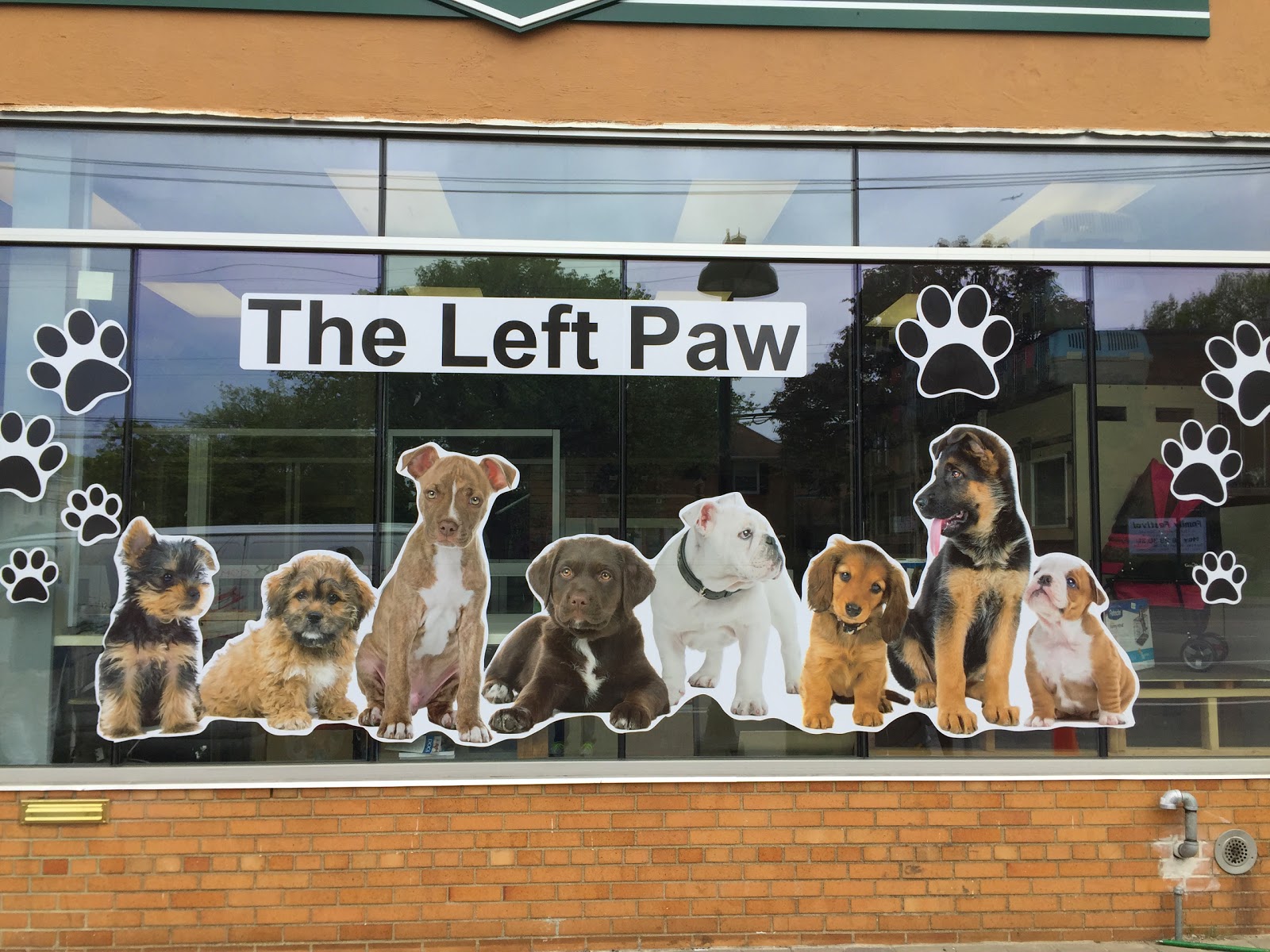Photo of The Left Paw - The best place to find your new puppy in New Hyde Park City, New York, United States - 3 Picture of Food, Point of interest, Establishment, Store, Pet store