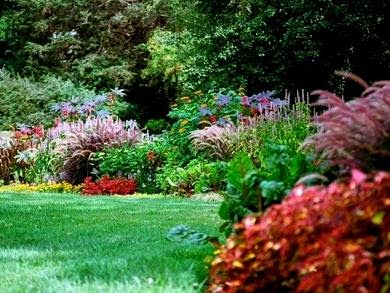 Photo of Blue Earth Garden Design in Rye City, New York, United States - 1 Picture of Point of interest, Establishment, General contractor