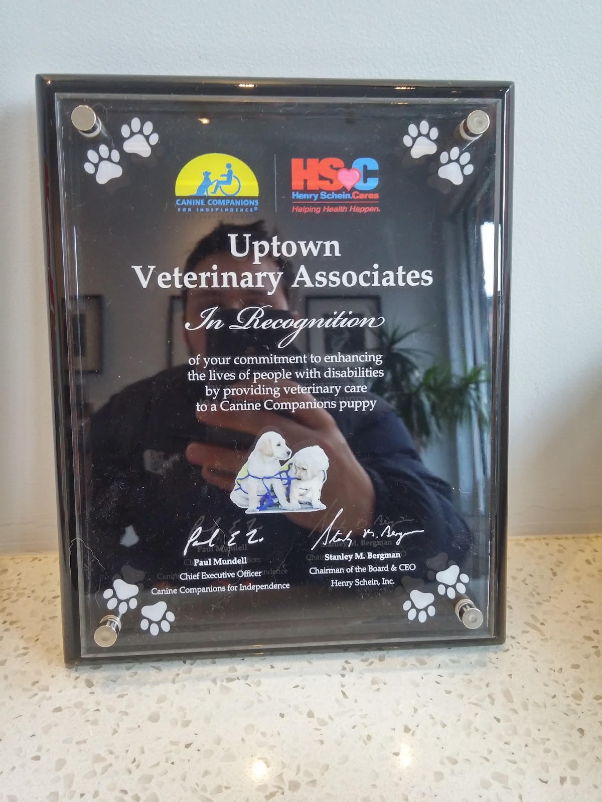 Photo of Uptown Veterinary Associates in New York City, New York, United States - 8 Picture of Point of interest, Establishment, Veterinary care