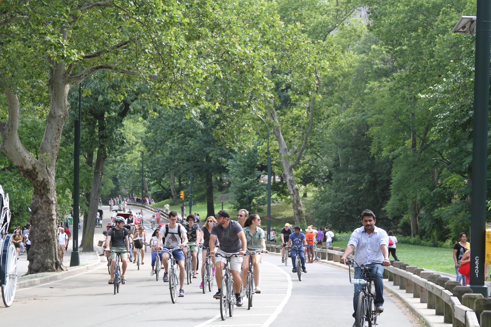 Photo of Rental Bike New York City in New York City, New York, United States - 2 Picture of Point of interest, Establishment, Travel agency