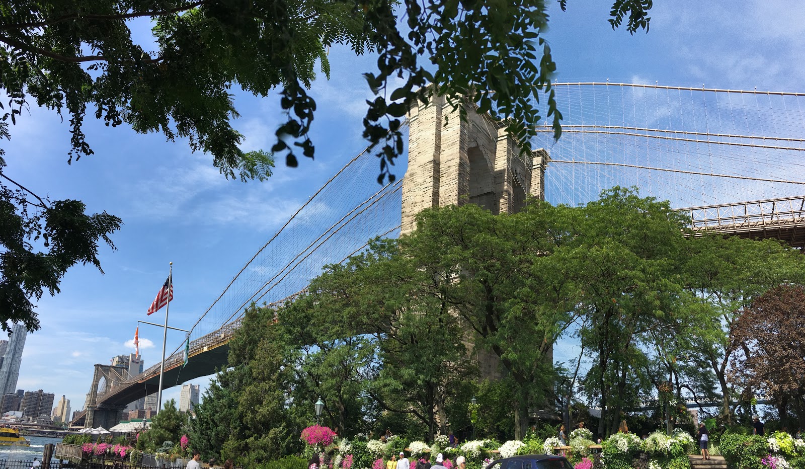 Photo of Brooklyn Bridge Park - Pier 1 in Kings County City, New York, United States - 4 Picture of Point of interest, Establishment, Park