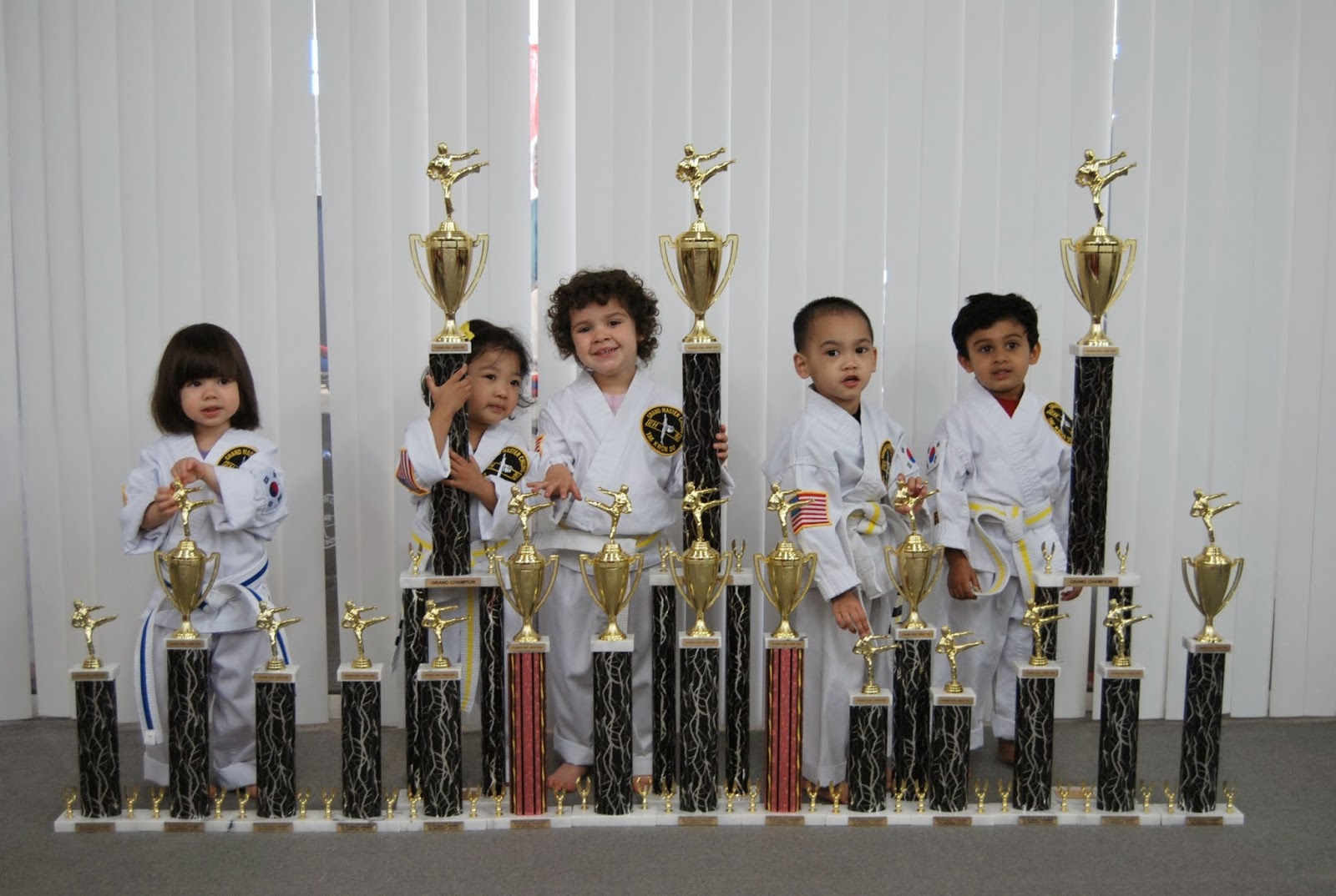 Photo of Grand Master Chung Tae Kwon Do USA KIDS in New Hyde Park City, New York, United States - 1 Picture of Point of interest, Establishment, Health, Gym
