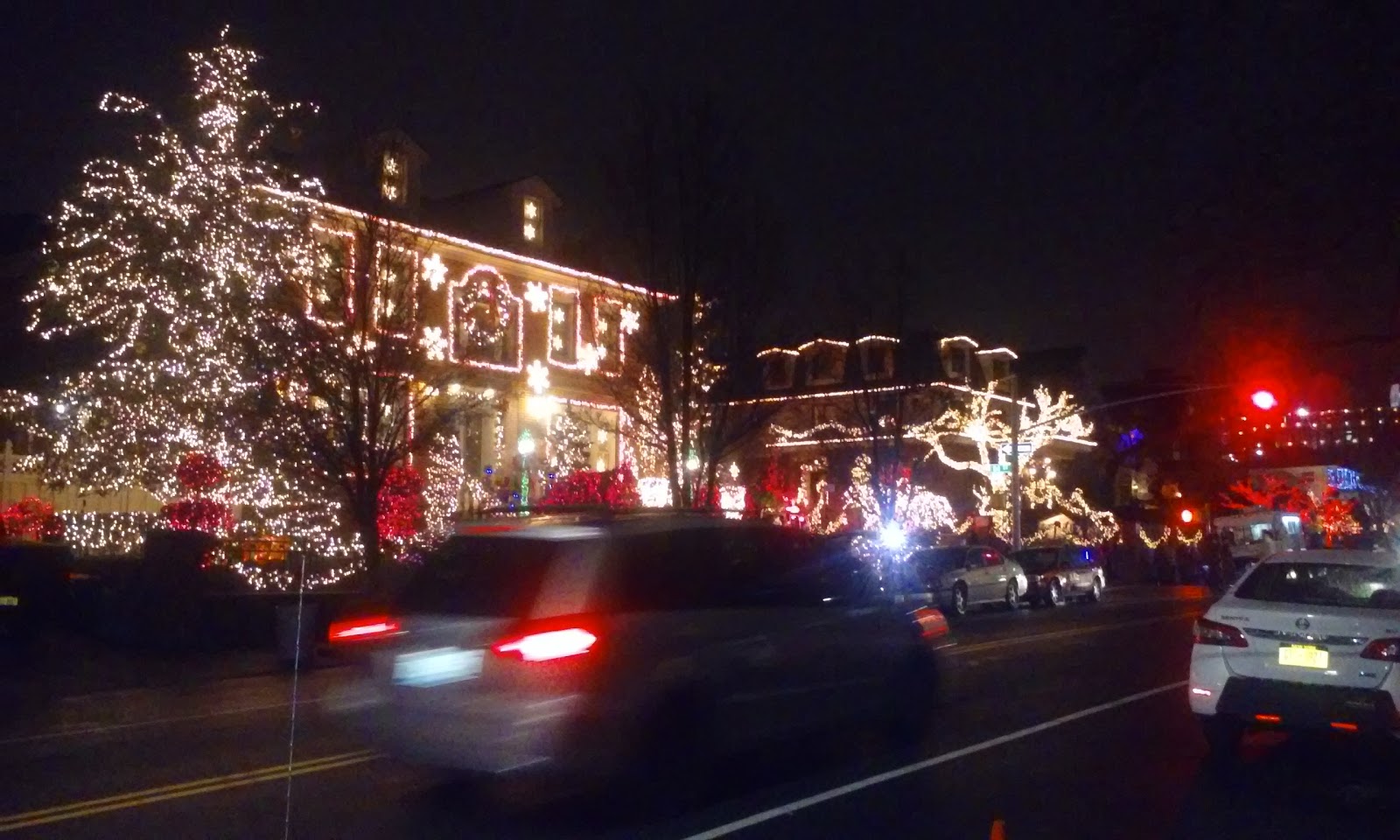 Photo of Dyker Heights Christmas Lights in New York City, New York, United States - 6 Picture of Point of interest, Establishment