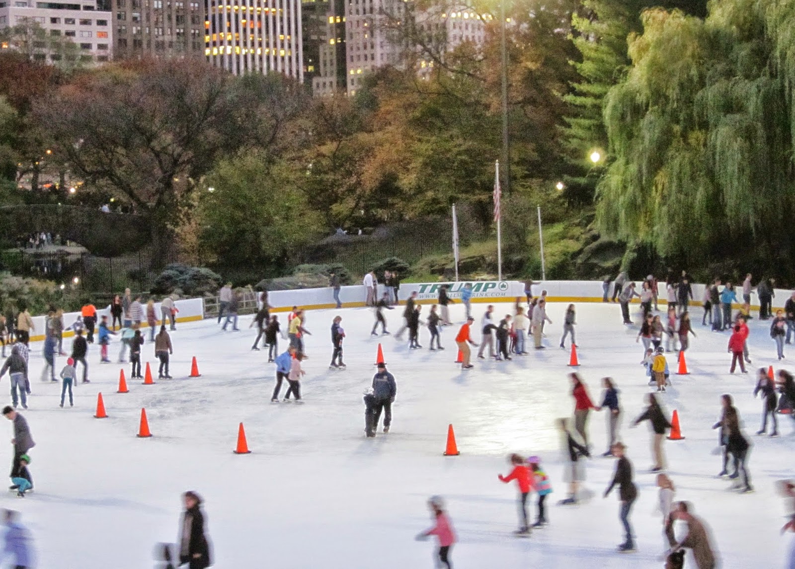 Photo of Wollman Rink in Central Park in New York City, New York, United States - 7 Picture of Point of interest, Establishment