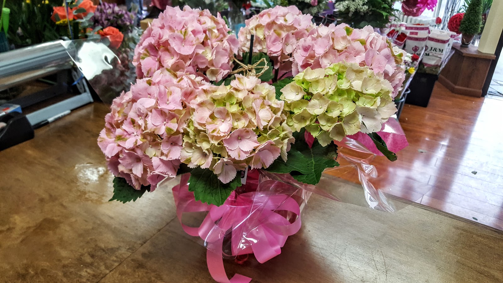 Photo of Flowers in Bloom in Harrison City, New Jersey, United States - 6 Picture of Point of interest, Establishment, Store, Florist