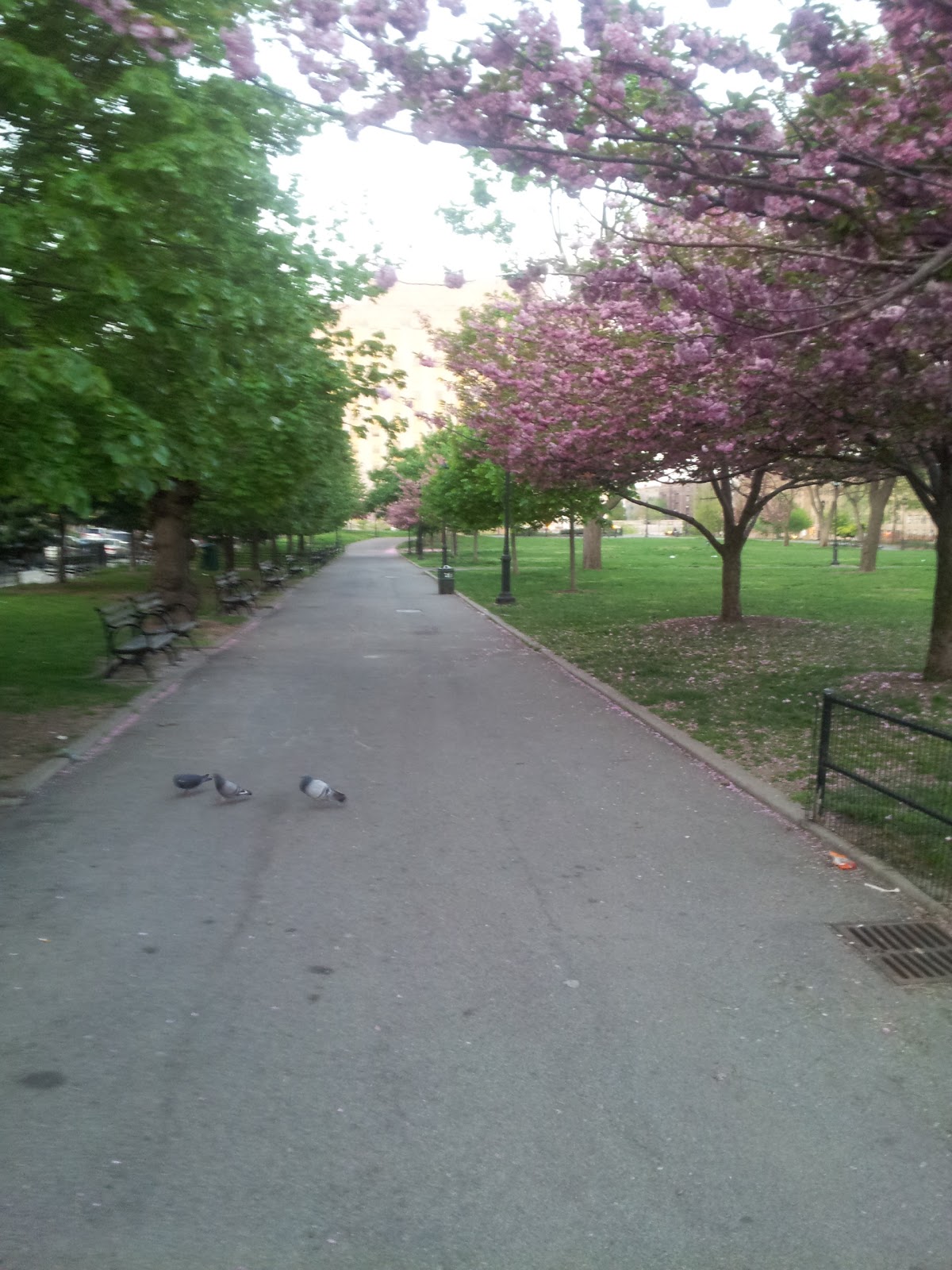 Photo of Joyce Kilmer Park in Bronx City, New York, United States - 7 Picture of Point of interest, Establishment, Park