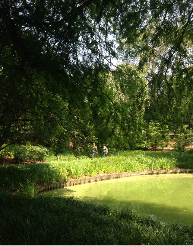 Photo of Cranford Rose Garden in Brooklyn City, New York, United States - 6 Picture of Point of interest, Establishment, Park