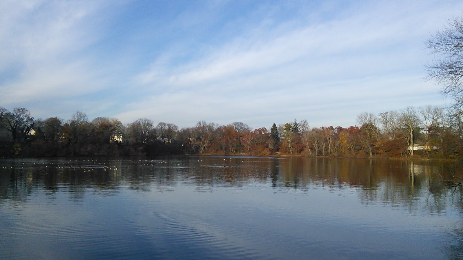 Photo of Grant Park in Hewlett City, New York, United States - 1 Picture of Point of interest, Establishment, Park