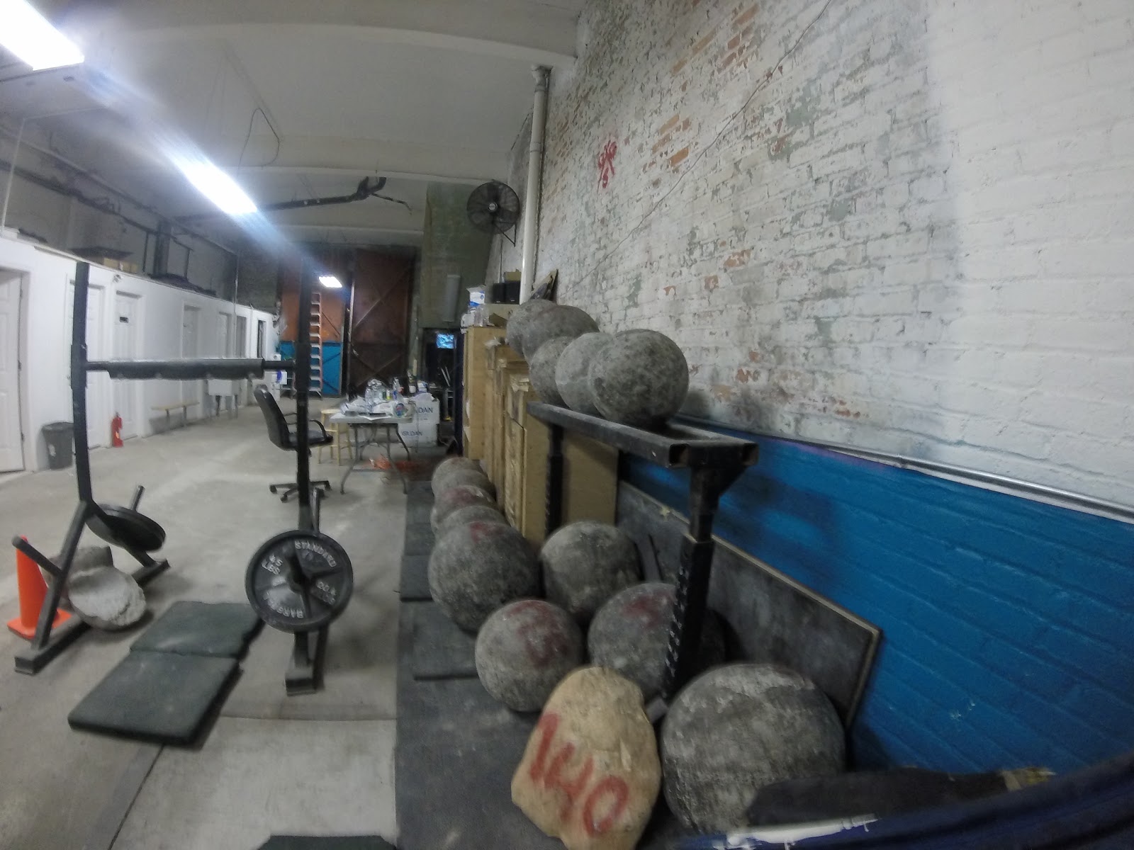 Photo of Global Strongman Gym in Kings County City, New York, United States - 2 Picture of Point of interest, Establishment, Health, Gym