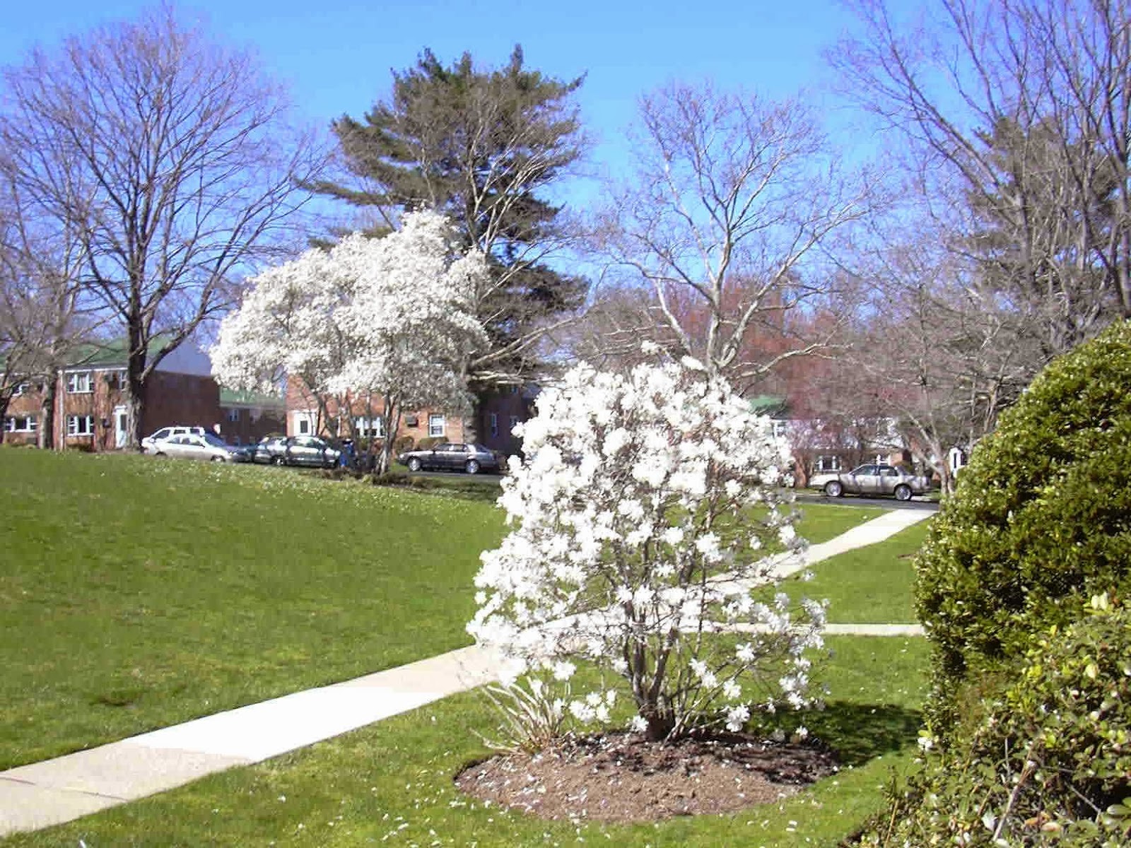 Photo of Forest Realty Inc. in Springfield Township City, New Jersey, United States - 2 Picture of Point of interest, Establishment, Real estate agency