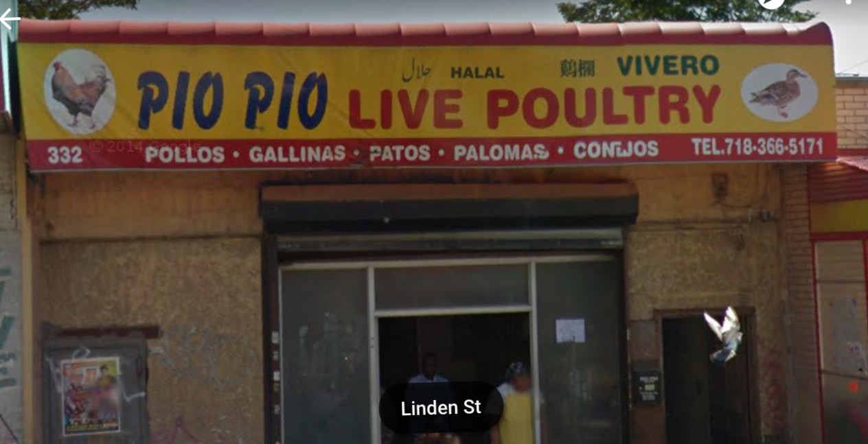 Photo of Pio Pio Live Poultry in Brooklyn City, New York, United States - 1 Picture of Food, Point of interest, Establishment, Store