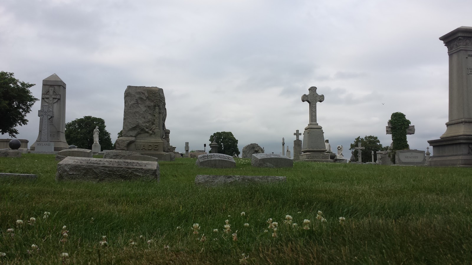 Photo of Holy Sepulchre Cemetery in East Orange City, New Jersey, United States - 2 Picture of Point of interest, Establishment, Cemetery